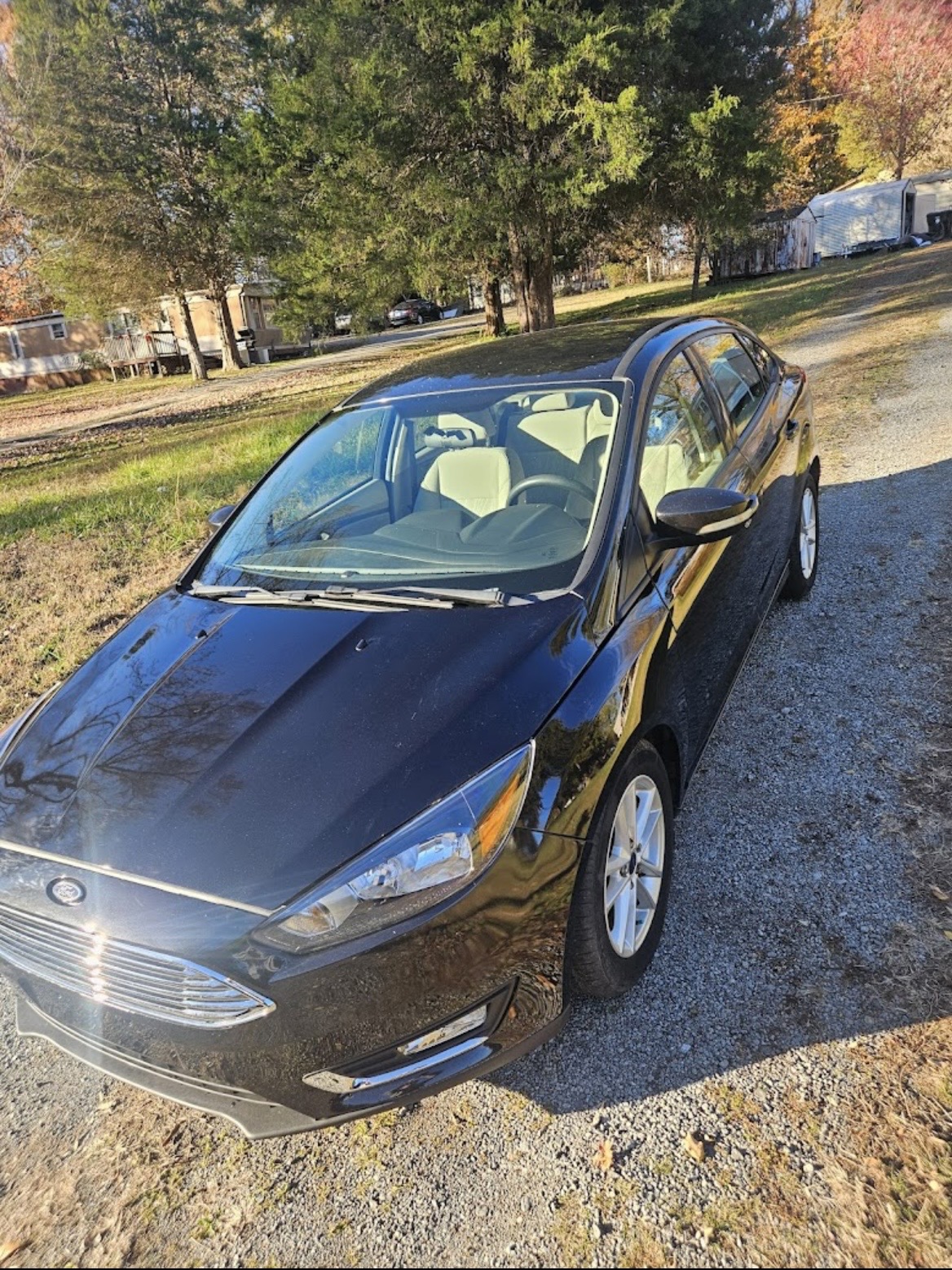 Ford Focus detailing